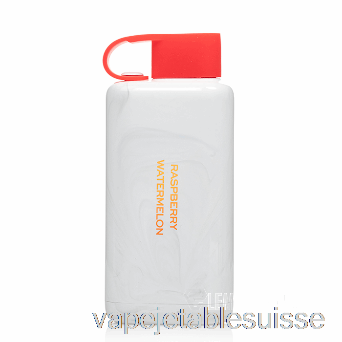 Vape Suisse Vozol Star 9000 Jetable Framboise Pastèque